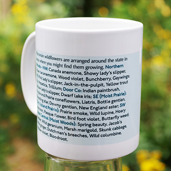 mug wi wildflowers